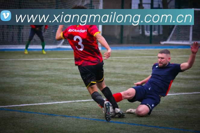 多媒体互动体验